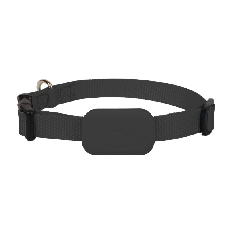 Haustier-Tracker-Halsband