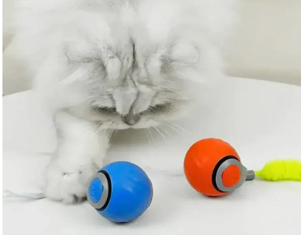 Speedy Tail Spielzeugball für Haustiere