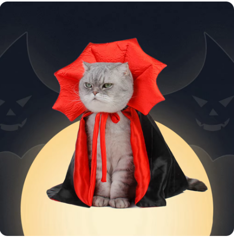 Halloween Haustierkostüme Vampirumhang