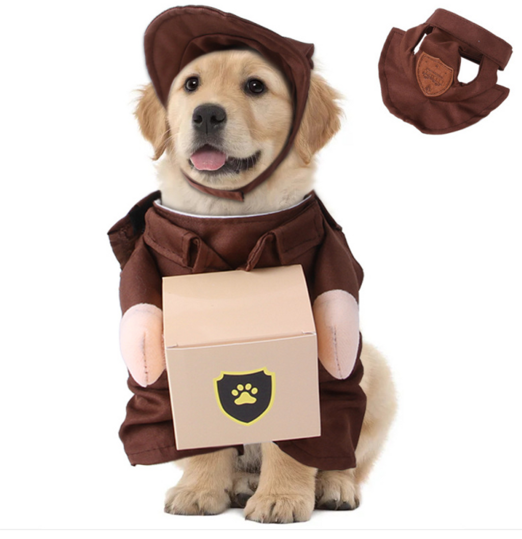 Pet Courier Stehkleidung – Lustige Ausflugskleidung