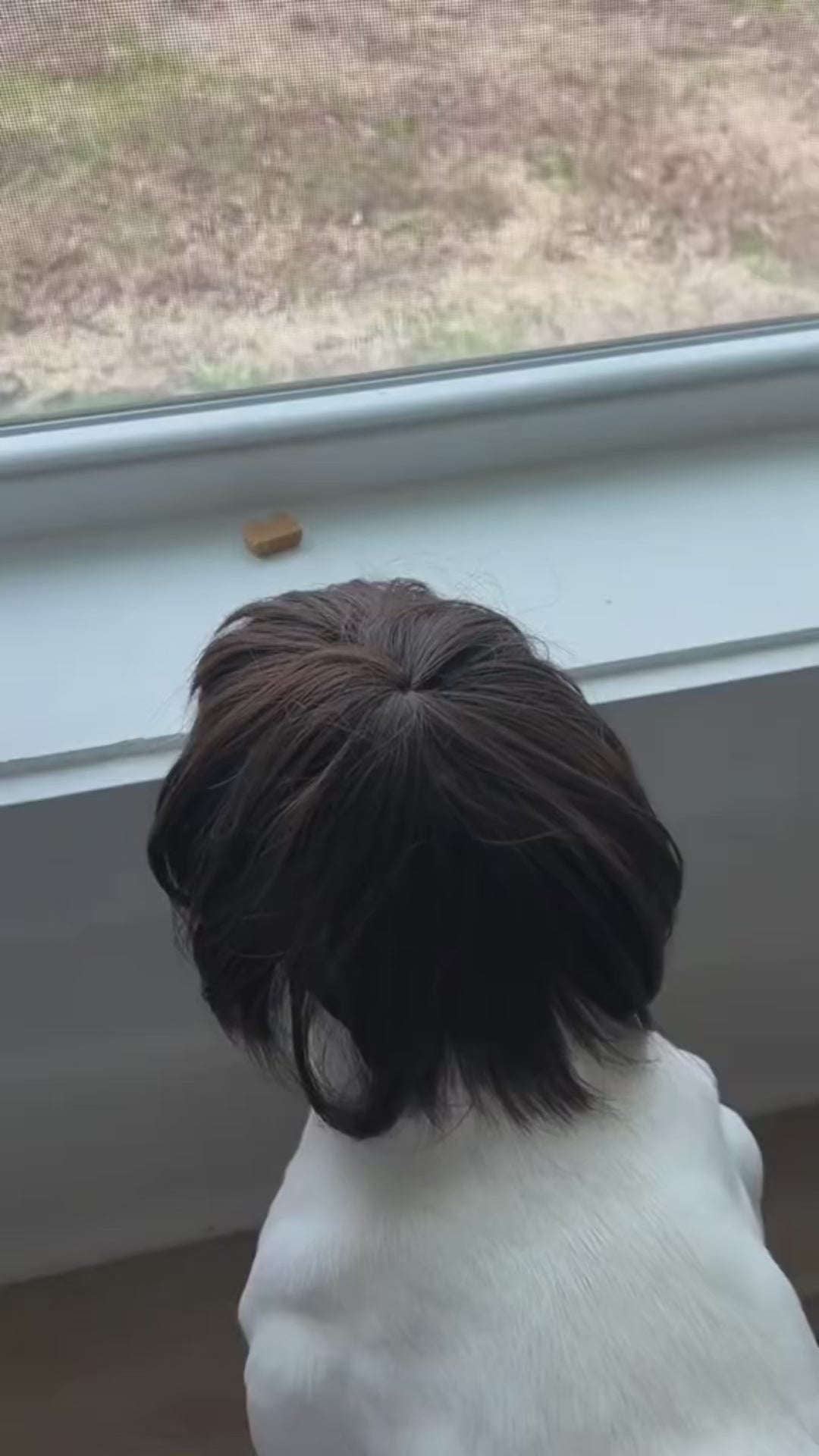 Toshomono Perücke Cosplay Werkzeug für Kostüme